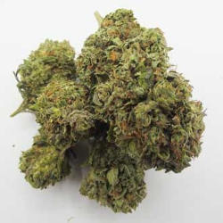 og kush fleur cbd