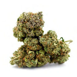 og kush fleur cbd