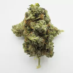 orange bud cbd cbg fleur roadflowers