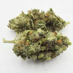 fleur orange bud cbd cbg roadflowers