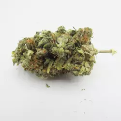 Fruit Orange Bud CBD