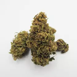 fleur cbd tropical kush roadflowers