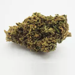 fleur cbd tropical kush roadflowers