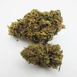 fleur cbd tropical kush roadflowers