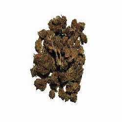 Cherry Pie Bio, les saveurs délicieuses d’un clafoutis de notre enfance.